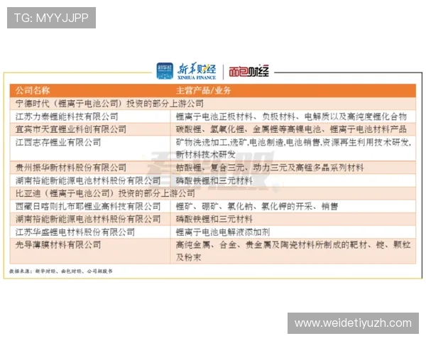 博万体育现金开户常见风险及防范措施全面分析保障用户权益