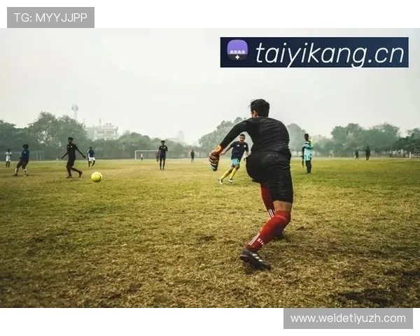 开云体育登录下载积极响应用户建议,不断完善功能提升整体使用体验